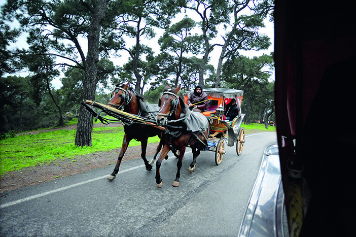 Adalar’da fayton düzenlemesi